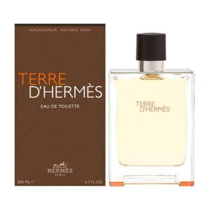 Terre D’Hermes for Men, edT 100ml by Hermes