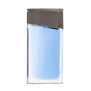 Visit for Men, edT 100ml by Azzaro